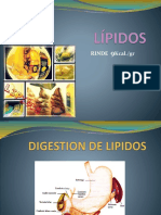 Beta Oxidacion de Los Acidos Grasos