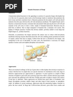 Somatic Structures of Fungi