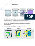 Materi Struktur Jar Tumbuhan