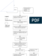 Acute Glomrulonephritis Pathophysiology