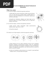 Preguntas de Exámenes de SeLectividad Ciclo Celular