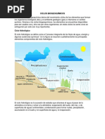 Ciclos Biogeoquímicos