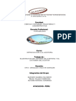 Informe de Auditoria y Dictamen de Auditoria OK 12-07-17