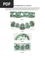 Soal Anatomi Fisiologi Tumbuhan
