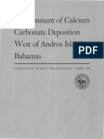 Environment of Calcium Carbonate Deposition West of Andros Island Bahamas