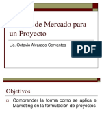 Estudio de Mercado en Proyectos