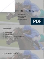 Doping en Equinos