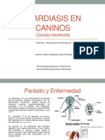 Giardiasis en Caninos