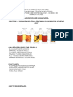 Bi - Practica 2 - Oxidacion Biologica de Et-Oh en Un Reactor de Lecho Fijo