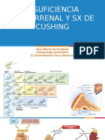 Insuficiencia Suprarrenal y SX Cushing