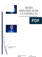 Bases Biologicas de La Conducta