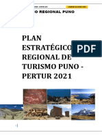 Pertur-2013 Puno