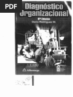 Diagnostico Organizacional Dario Rodriguez