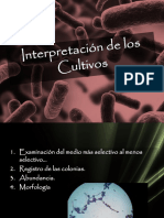 Interpretación de Los Cultivos