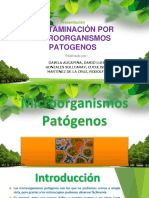 Contaminacion Por Microorganismos Patogenos