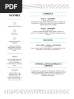 Ejemplo Curriculum Vitae