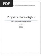 Are LGBT Rights Human Rights