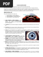 Guia de Clase No 008 Morfologia y Fisiologia Del Ojo