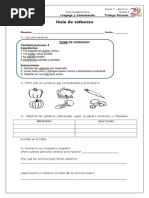 Complementaria 4-Guia de Refuerzo