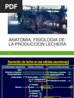 C 1 Tecnologia de La Leche PDF