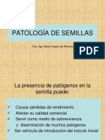 Patología de Semillas