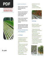 Proyecto de Hidroponia