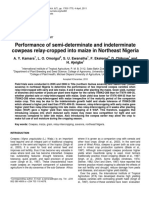 Performance of Semi-Determinate and Indeterminate Cowpeas Relay-Cropped Into Maize in Northeast Nigeria