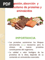 Digestion y Metabolismo de Proteinas y Aminoacidos