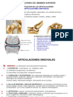 07 - Artrología Miembro Superior