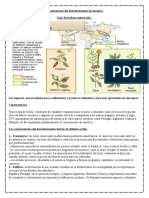 Consecuencias Del Descubrimiento de América