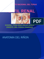 Perfil Renal