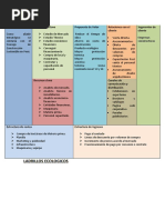 Plan de Negocio 2 Ladrillos Ecologicos