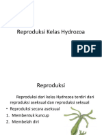 Reproduksi Kelas Hydrozoa-1