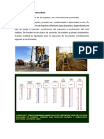 Cimentación de Puentes - Pilotes