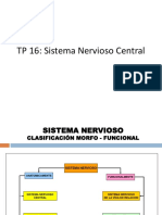 Sistema Nervioso Central