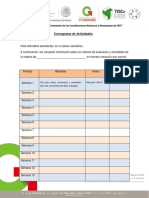 Cronograma de Actividades