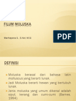  Filum Moluska