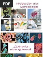 Introduccion A La Microbiologia PDF