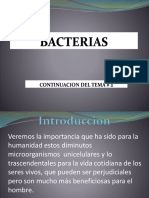 Bacterias