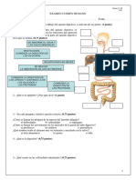 Examen Cuerpo Humano