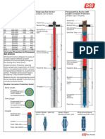 Dsi DCP Bars