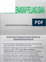 Strategi Menangkap Peluang Usaha