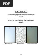 White Rust:: An Industry Update and Guide Paper 2002 Association of Water Technologies (AWT)