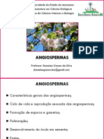 3º Ano - Angiospermas