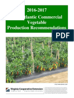 Commercial Vegetable Production