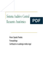 Anatomía Del Sistema Auditivo Central (Modo de Compatibilidad) PDF