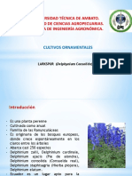 Expo Delphinium