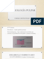 02 Conformación Histologica Del Endodonto