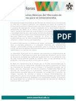 Fundamentos Basicos Mercado Valores Inversionista