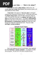 Food Chains and Webs